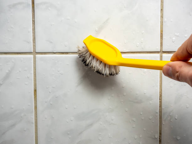Best Professional Mold Removal  in Strathmore, CA