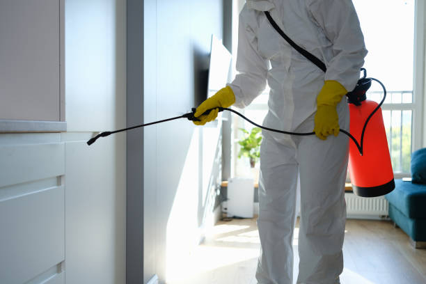 Best Mold Testing  in Strathmore, CA