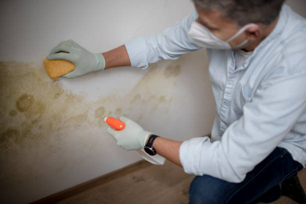 Best Crawl Space Mold Removal  in Strathmore, CA