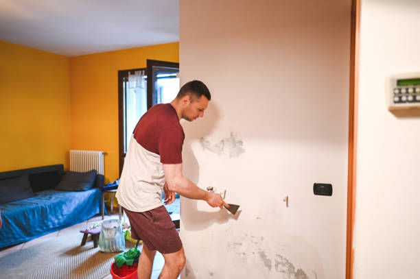Mold Removal Process in Strathmore, CA