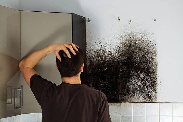 Best Black Mold Removal  in Strathmore, CA